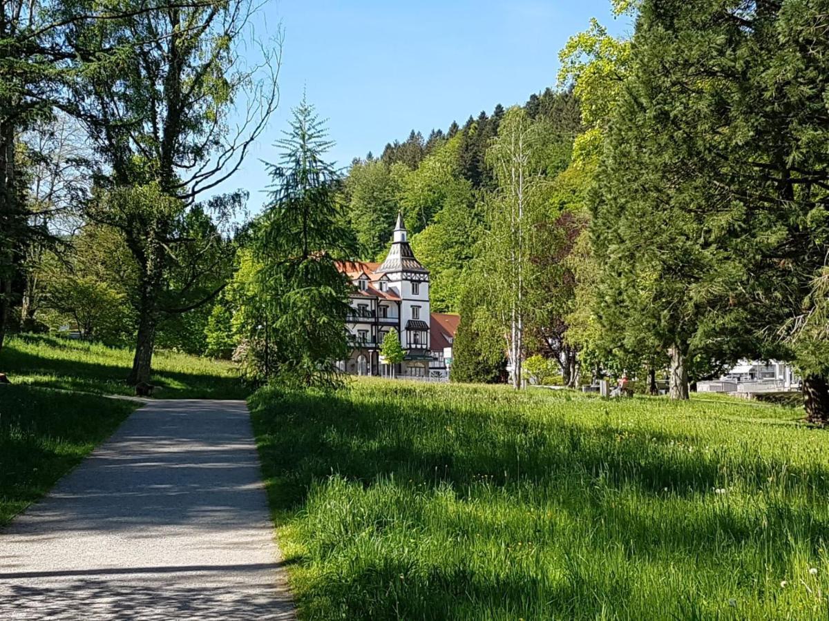 Am Klosterviertel Bad Herrenalb Luaran gambar