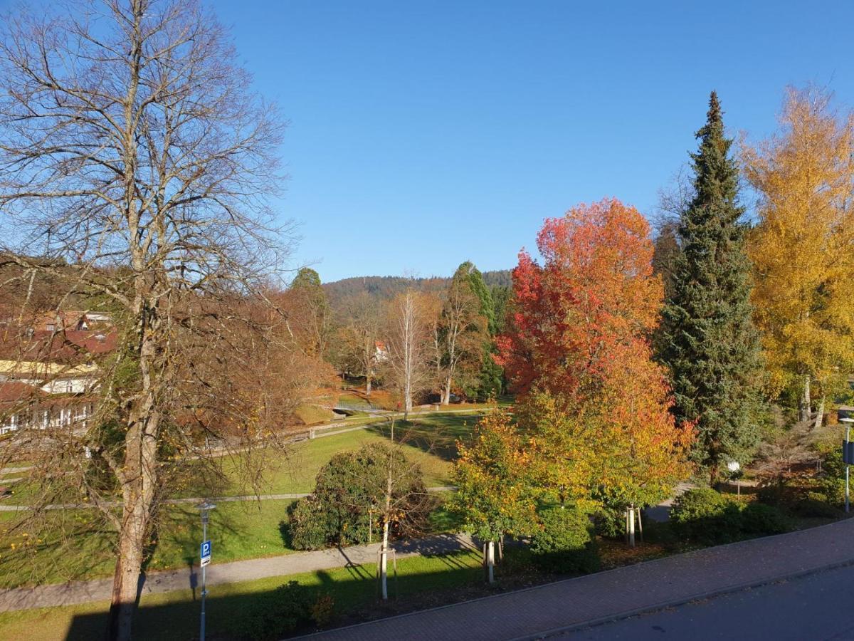 Am Klosterviertel Bad Herrenalb Luaran gambar